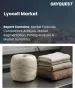Lyocell纖維市場規模、佔有率和成長分析：按最終用途產業、產品類型、製造流程、應用領域、分銷管道和地區分類－2026-2033年產業預測