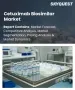 Cetuximab單抗生物相似藥市場規模、佔有率和成長分析：按適應症/治療應用、劑型、治療策略、最終用戶和地區分類 - 行業預測，2026-2033年