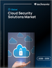 2026-2030年全球雲端安全解決方案市場