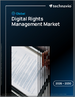 2026-2030年全球數位版權管理市場