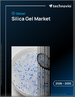 2026-2030年全球矽膠市場