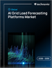 2026-2030年全球人工智慧電網負載預測平台市場