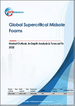 全球超臨界中底泡沫市場展望、詳細分析及至2032年預測
