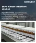 BRAF激酶抑制劑市場規模、佔有率和成長分析：按藥物類型、適應症、治療階段、給藥途徑、最終用戶、分銷管道和地區分類－2026-2033年產業預測