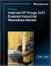 2026-2030年全球物聯網（IoT）工業穿戴裝置市場