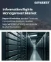 資訊權限管理 (IRM) 市場規模、佔有率和成長分析：按組件、部署模式、應用領域、最終用戶產業、企業規模、銷售管道和地區分類－2026-2033 年產業預測