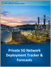 私有 5G 網路部署：追蹤與預測（2026-2030 年）