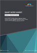 全球智慧電錶市場：按類型、組件、技術、通訊技術、最終用戶和地區分類－預測至2031年