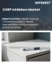 CGRP抑制劑市場規模、佔有率和成長分析：按藥物類型、適應症、給藥途徑、分銷管道、最終用戶和地區分類－2026-2033年產業預測