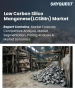 低碳矽錳（LCSiMn）市場規模、佔有率和成長分析：按等級、製造流程、應用、終端用戶產業、分銷管道和地區分類 - 產業預測，2026-2033年