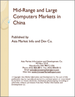 中國的中型·大型電腦市場