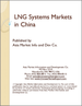 中國的LNG系統市場