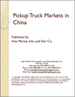 中國的輕型皮卡載貨車市場