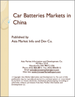 中國的汽車電池市場