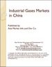 中國的工業用氣體市場